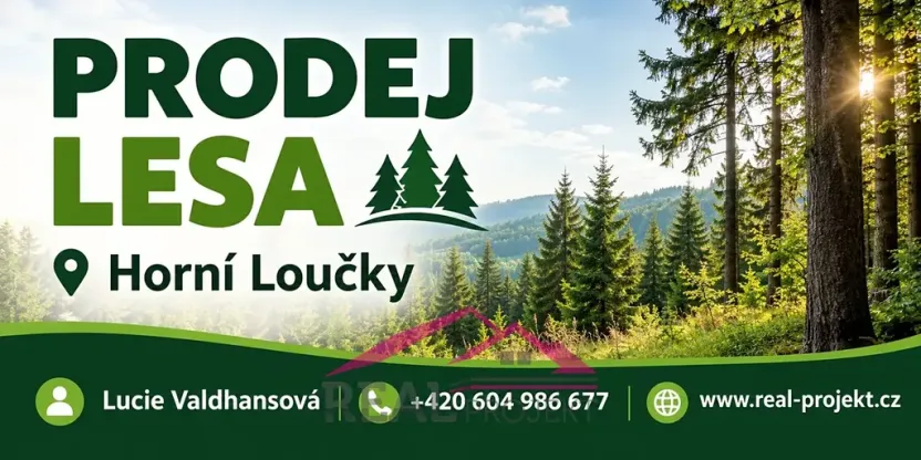 Prodej lesa, Horní Loučky, 9906 m2