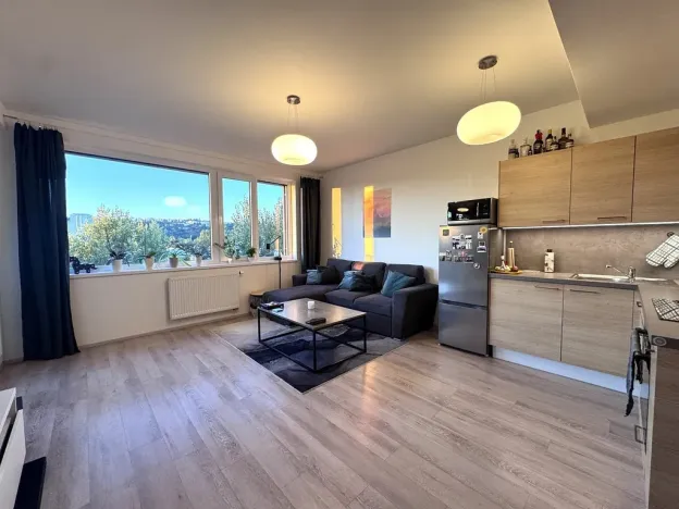 Pronájem bytu 2+kk, Praha - Holešovice, Jankovcova, 44 m2
