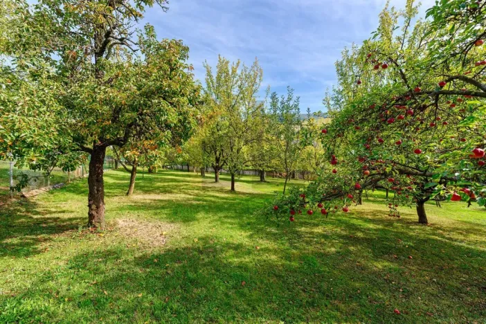 Prodej rodinného domu, Březová, 74 m2
