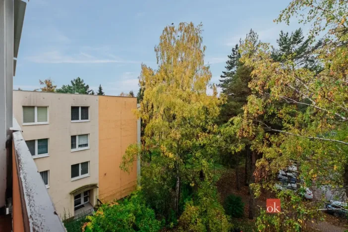 Pronájem bytu 2+kk, Brno - Žabovřesky, Foerstrova, 62 m2
