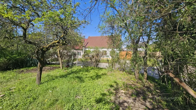 Prodej komerčního pozemku, Popice, 345 m2