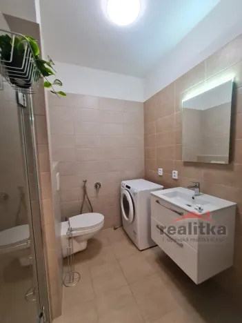 Pronájem bytu 1+kk, Opava - Předměstí, Provaznická, 35 m2