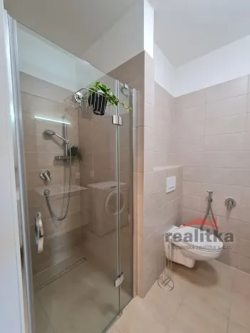 Pronájem bytu 1+kk, Opava - Předměstí, Provaznická, 35 m2