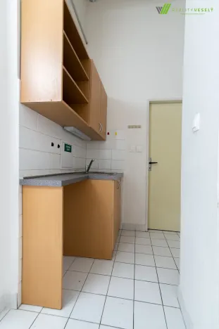 Pronájem obchodního prostoru, Hodonín, Štefánikova, 90 m2