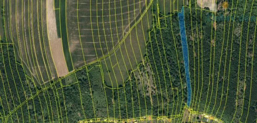 Prodej lesa, Hradec nad Moravicí, 9624 m2