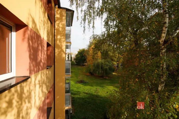 Prodej bytu 3+1, Ostrava - Hrabůvka, Provaznická, 61 m2