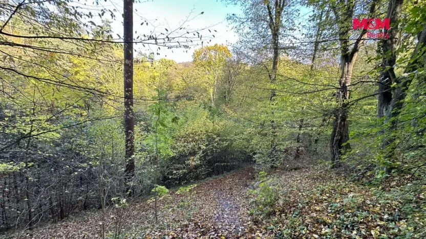 Prodej louky, Bělá pod Bezdězem, 1457 m2