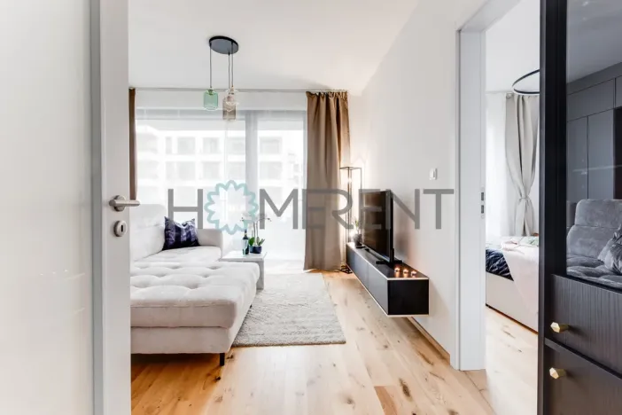 Pronájem bytu 2+kk, Praha - Nusle, Závišova, 45 m2