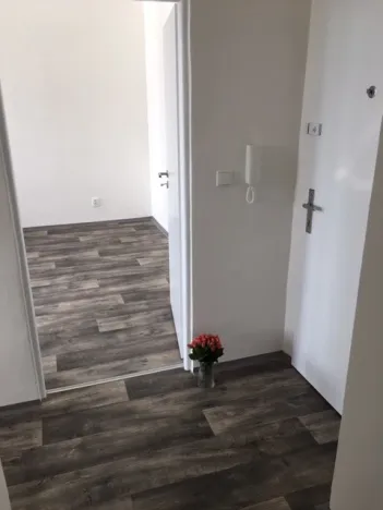Pronájem bytu 2+1, Ostrava - Hrabůvka, Dr. Martínka, 50 m2