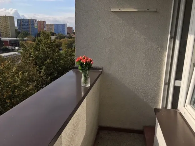 Pronájem bytu 2+1, Ostrava - Hrabůvka, Dr. Martínka, 50 m2