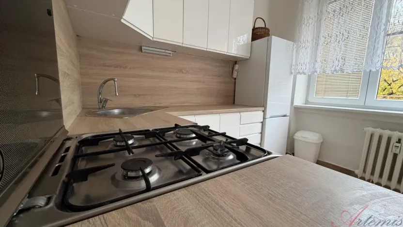 Pronájem bytu 1+1, Ostrava - Poruba, Hlavní třída, 43 m2