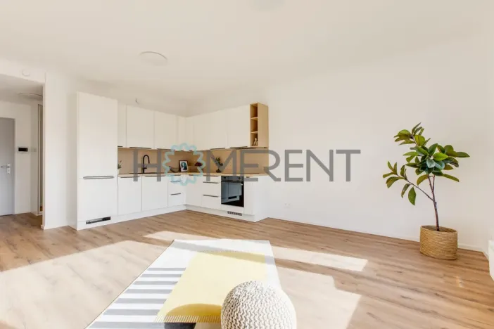 Pronájem bytu 2+kk, Praha - Libeň, Zenklova, 54 m2