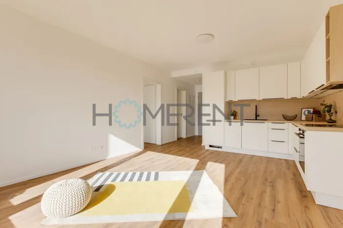 Pronájem bytu 2+kk, Praha - Libeň, Zenklova, 54 m2
