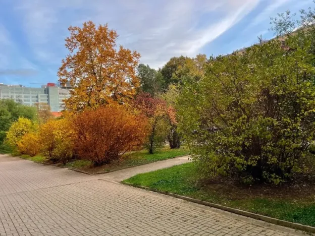Pronájem bytu 3+kk, Praha - Krč, Budějovická, 67 m2