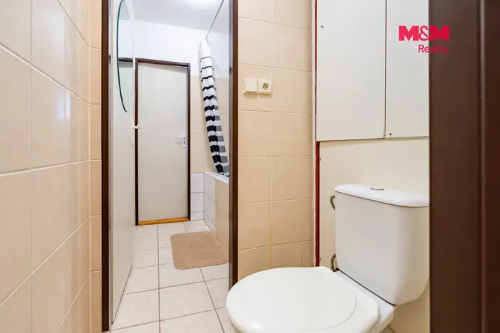 Prodej bytu 2+1, České Budějovice - České Budějovice 3, Plzeňská, 65 m2
