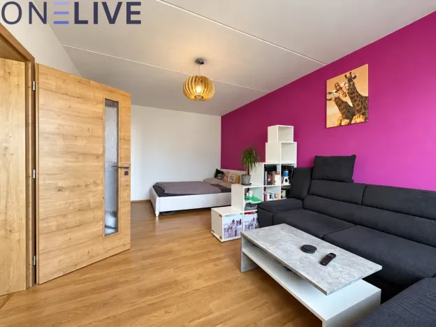 Pronájem bytu 1+1, Plzeň, Strážnická, 39 m2