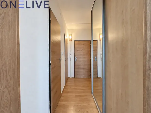 Pronájem bytu 1+1, Plzeň, Strážnická, 39 m2