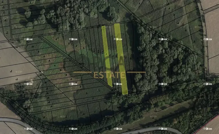 Prodej louky, Střížovice, 4747 m2