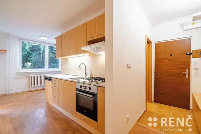 Pronájem bytu 3+1, Brno, Běly Pažoutové, 74 m2