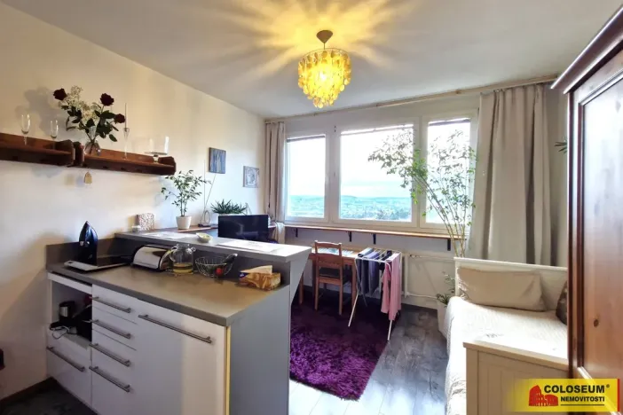 Prodej bytu 1+kk, Brno - Lesná, 23 m2