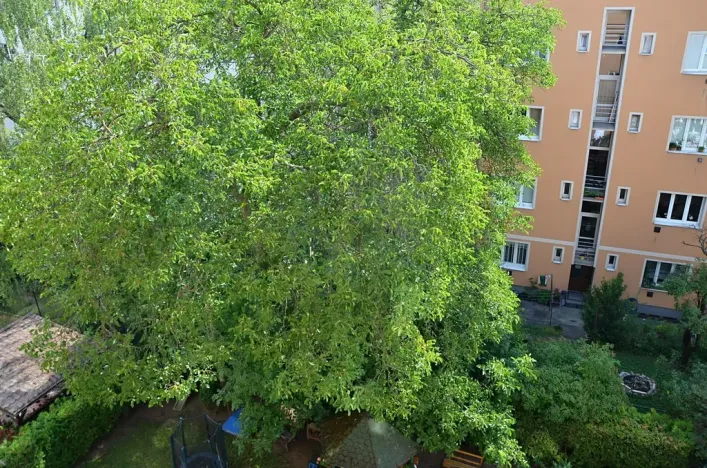 Pronájem bytu 1+kk, Praha, Pelhřimovská, 28 m2