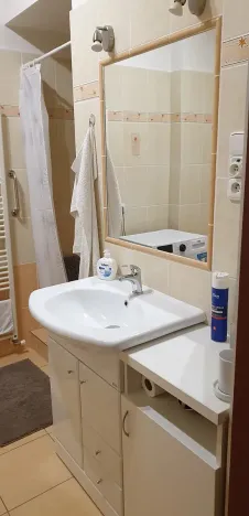 Prodej bytu 3+1, Teplice, Jankovcova, 98 m2