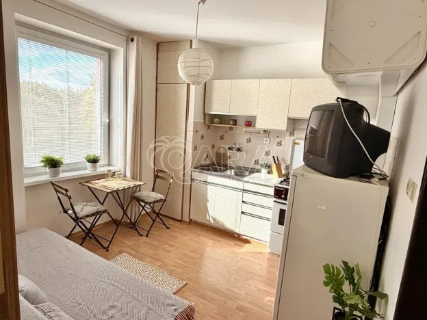 Prodej bytu 1+1, Plzeň - Lobzy, Nad Úslavou, 35 m2