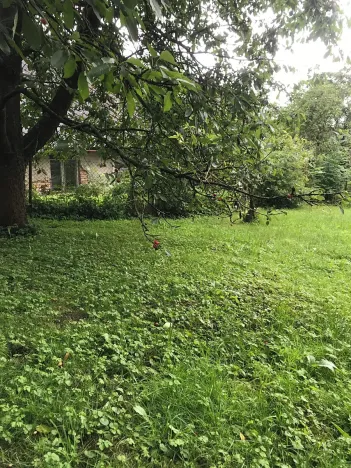 Prodej pozemku pro bydlení, Most, 230 m2