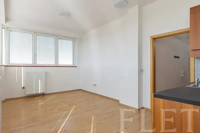 Prodej bytu 2+kk, Praha - Strašnice, V Rybníčkách, 46 m2