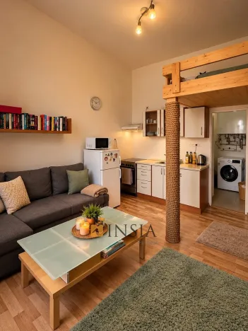 Prodej bytu 1+kk, Plzeň - Východní Předměstí, Koterovská, 25 m2