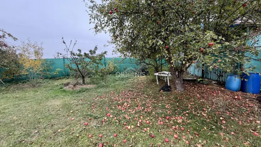 Prodej zahrady, Pesvice, 374 m2
