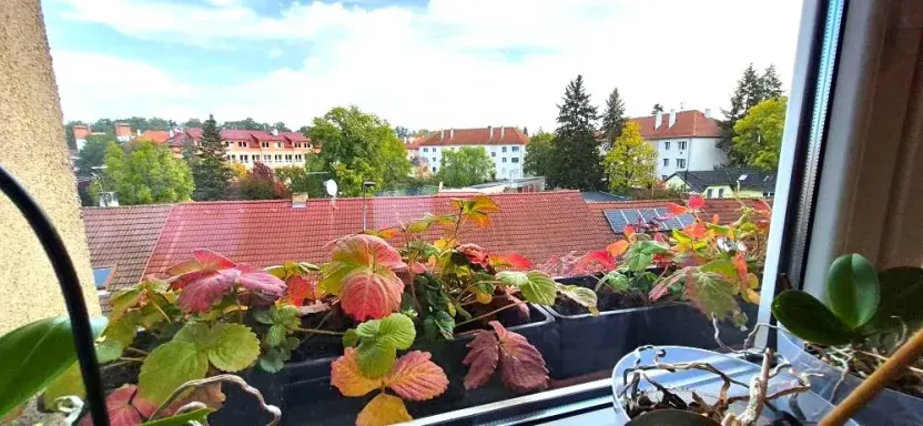 Prodej bytu 2+1, Rokycany, Soukenická, 67 m2