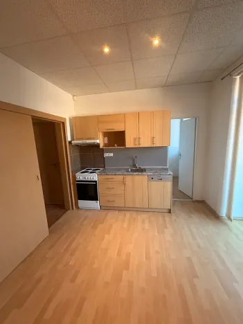 Pronájem bytu 3+1, Prostějov, Mlýnská, 100 m2