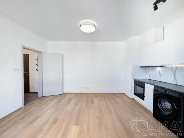 Pronájem bytu 1+kk, Plzeň - Jižní Předměstí, Železná, 27 m2