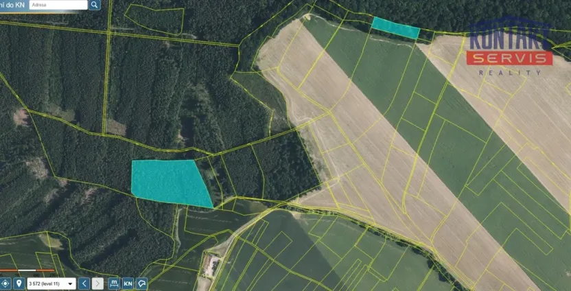 Prodej lesa, Bačalky - Lično, 26180 m2