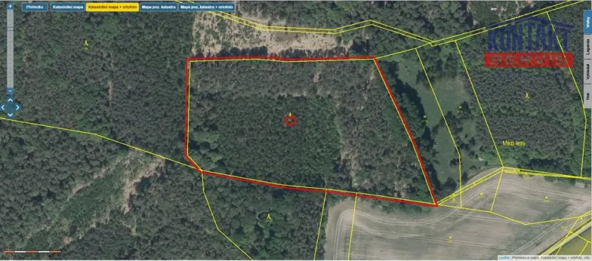 Prodej lesa, Bačalky - Lično, 26180 m2