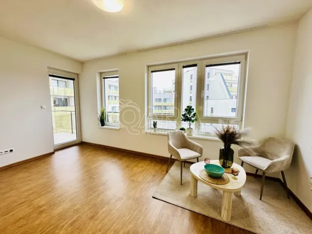 Prodej bytu 2+kk, České Budějovice - České Budějovice 2, Lipová, 53 m2