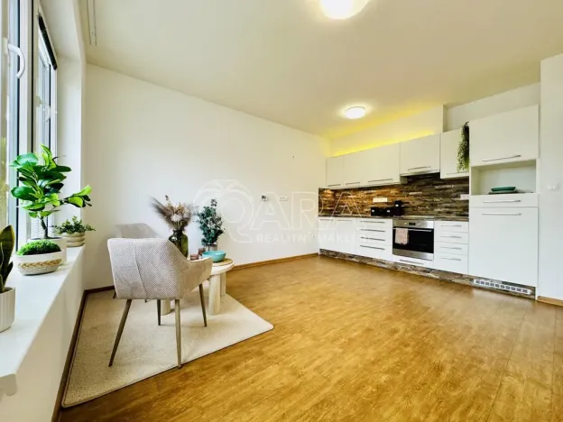 Prodej bytu 2+kk, České Budějovice - České Budějovice 2, Lipová, 53 m2