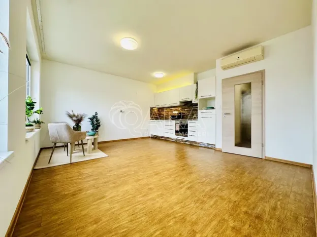 Prodej bytu 2+kk, České Budějovice - České Budějovice 2, Lipová, 53 m2