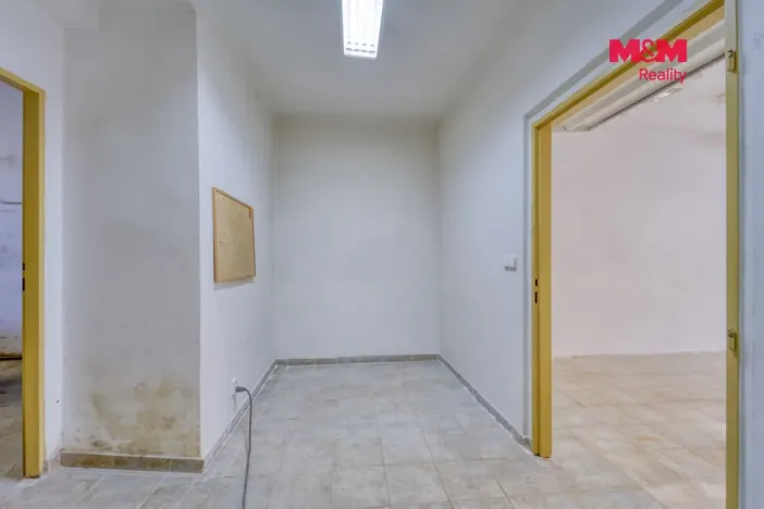 Pronájem obchodního prostoru, Plzeň - Východní Předměstí, Slovanská, 100 m2