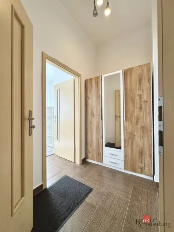 Pronájem bytu 1+kk, Plzeň - Severní Předměstí, Luční, 27 m2