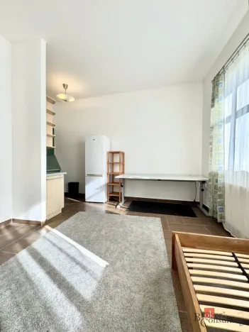 Pronájem bytu 1+kk, Plzeň - Severní Předměstí, Luční, 27 m2