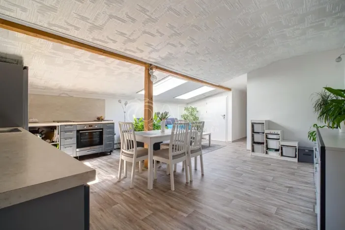 Prodej vícegeneračního domu, Ostrava - Třebovice, Krameriova, 298 m2