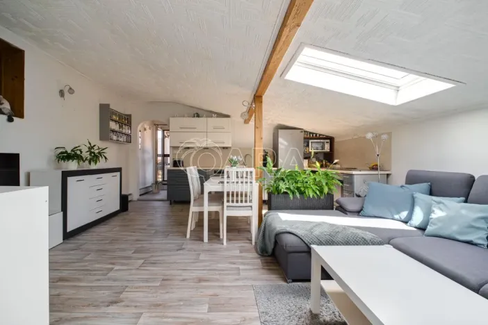 Prodej vícegeneračního domu, Ostrava - Třebovice, Krameriova, 298 m2