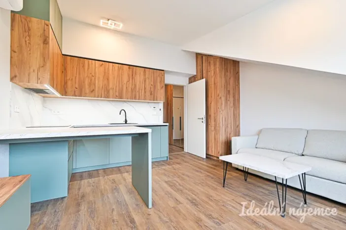 Pronájem bytu 1+kk, Brno - Židenice, Škrochova, 33 m2