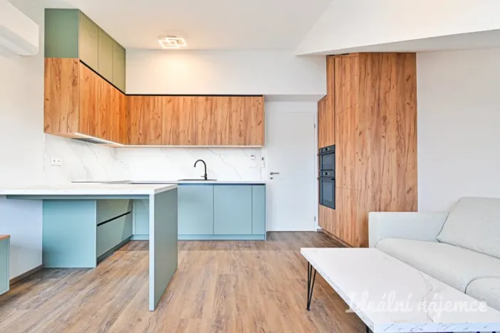 Pronájem bytu 1+kk, Brno - Židenice, Škrochova, 33 m2