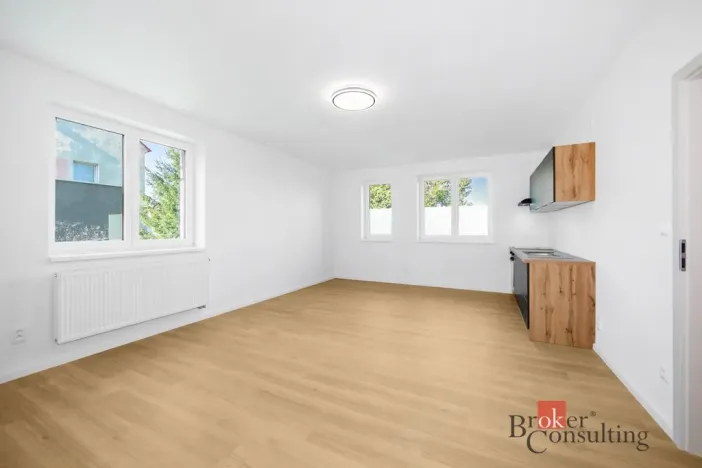 Prodej bytu 1+kk, Břasy, 42 m2