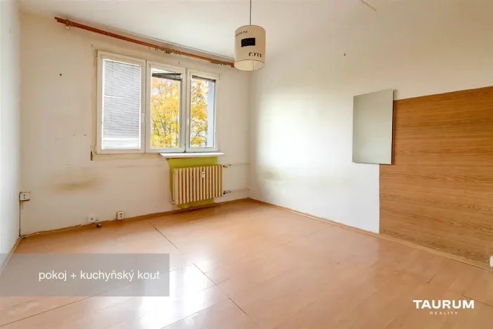 Prodej bytu 1+kk, Plzeň - Doudlevce, Luďka Pika, 20 m2