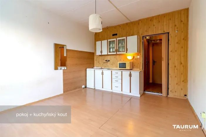 Prodej bytu 1+kk, Plzeň - Doudlevce, Luďka Pika, 20 m2