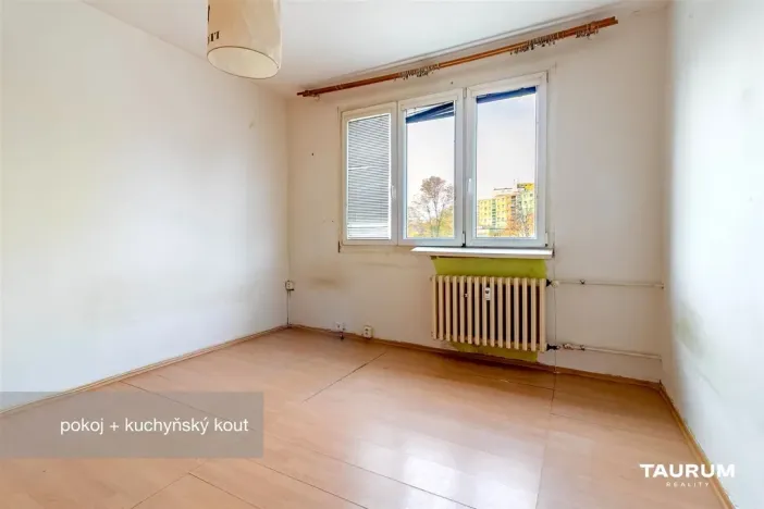 Prodej bytu 1+kk, Plzeň - Doudlevce, Luďka Pika, 20 m2